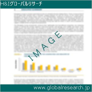 グローバルリサーチ調査レポートのイメージ